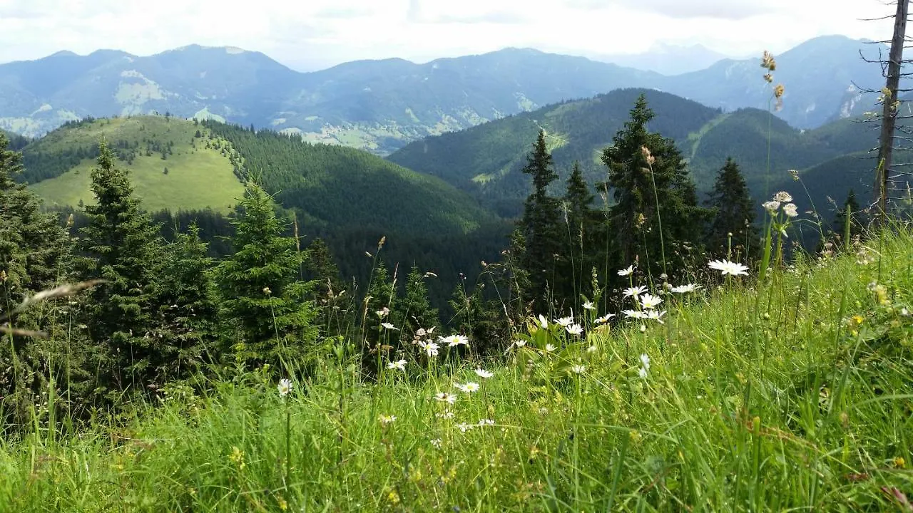 شقة Im-Oberland - Tal - باد كوهلغرب 0*,  ألمانيا