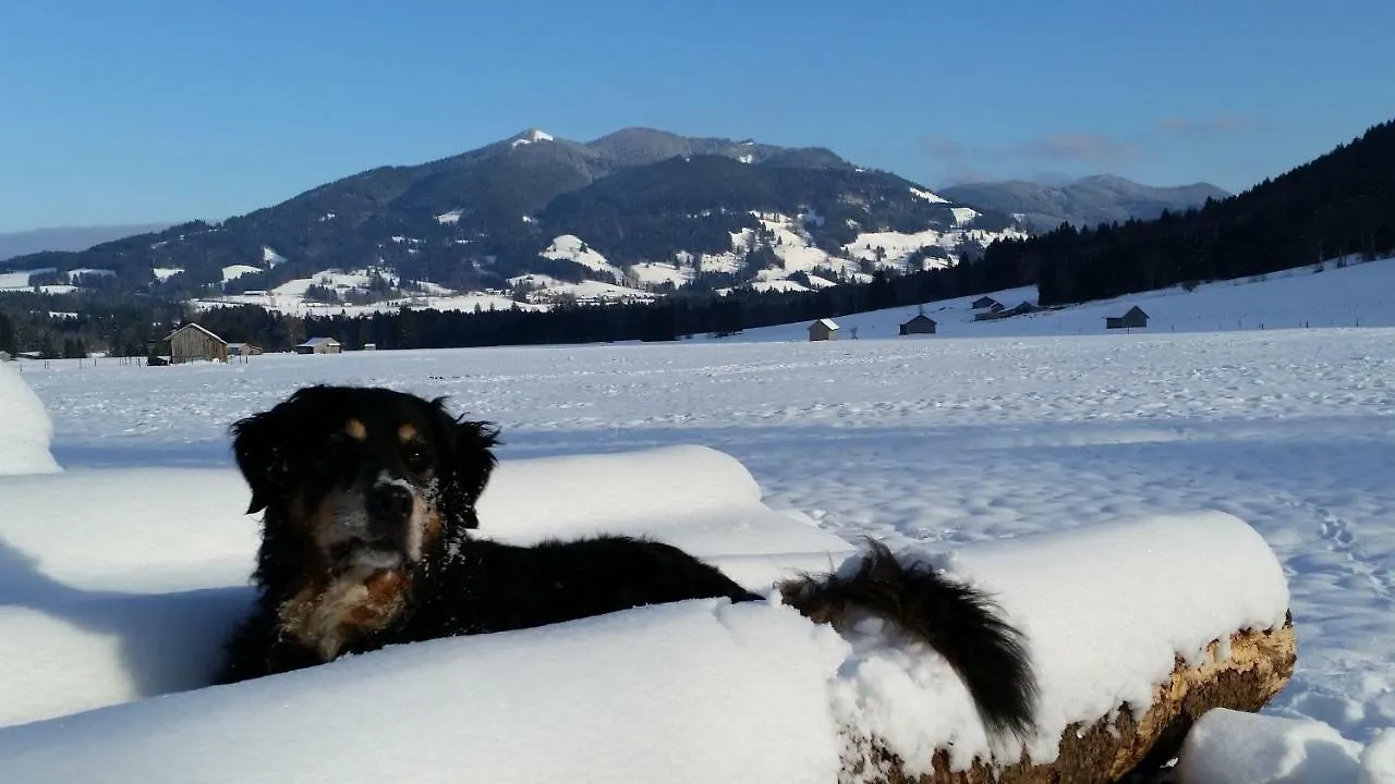 Im-Oberland - Tal - Apartment Bad Kohlgrub